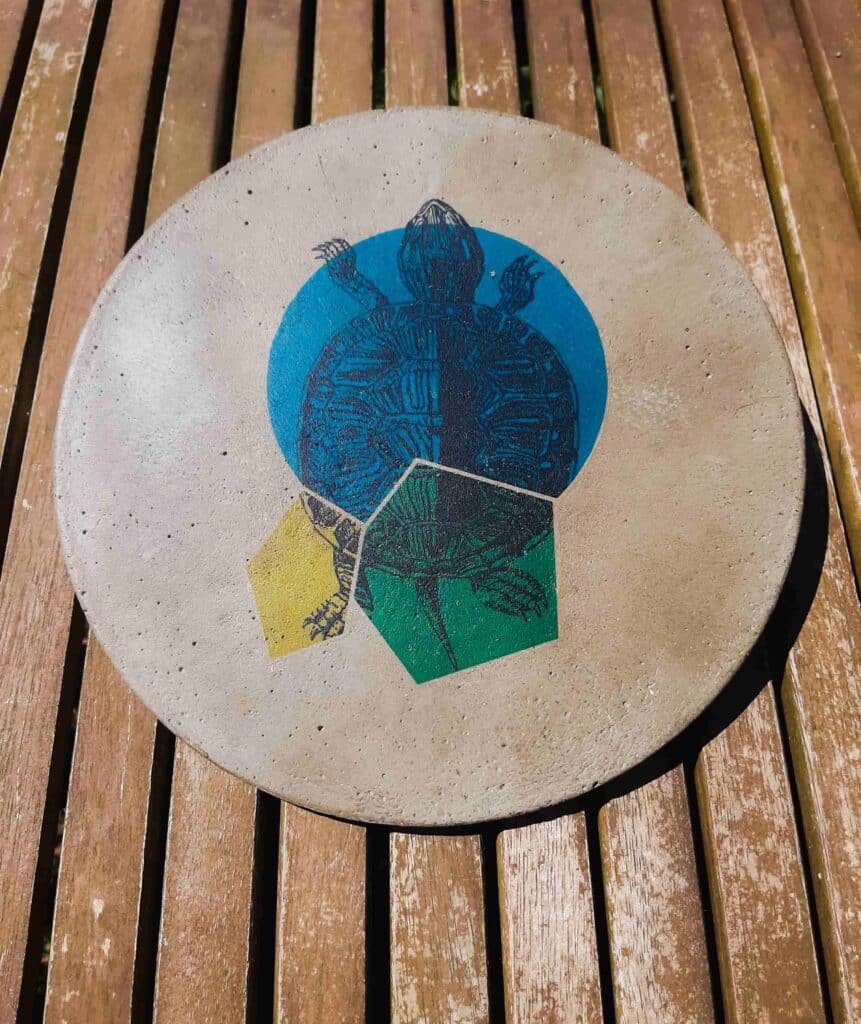 sous-plat tortue