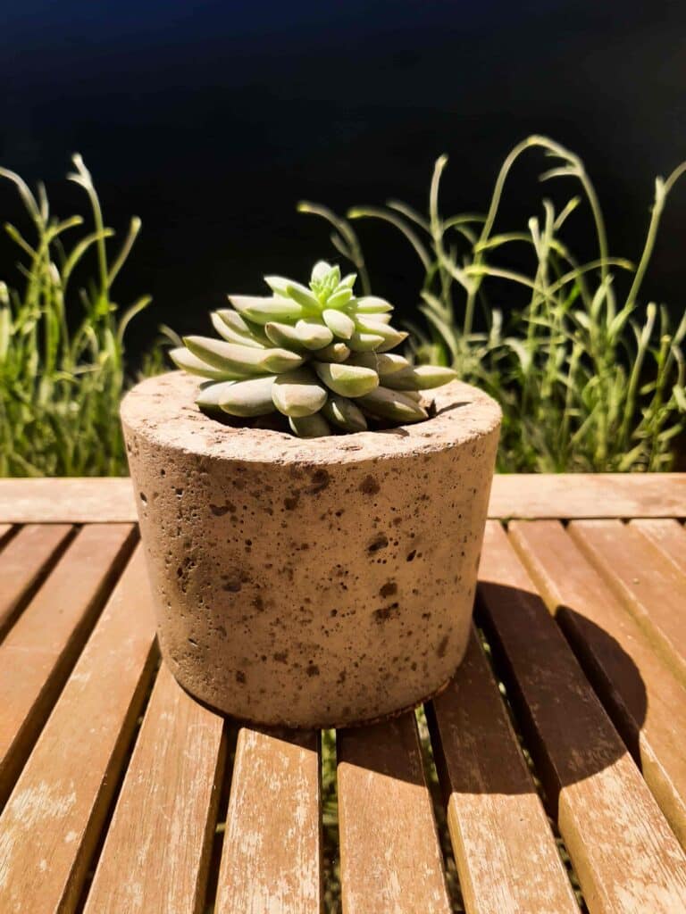 pot en béton et en tourbe