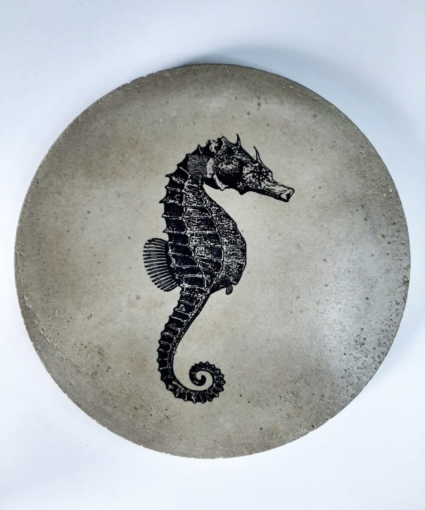 Sous-plat hippocampe
