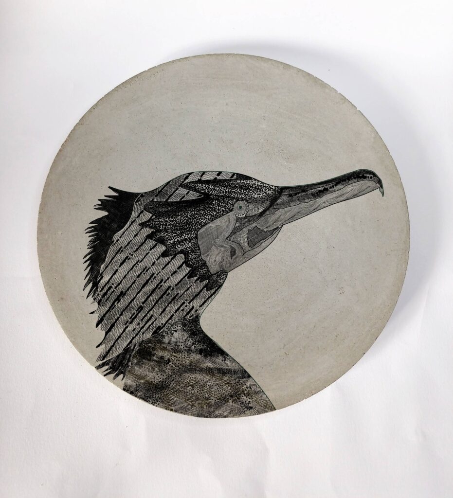Sous-plat cormoran